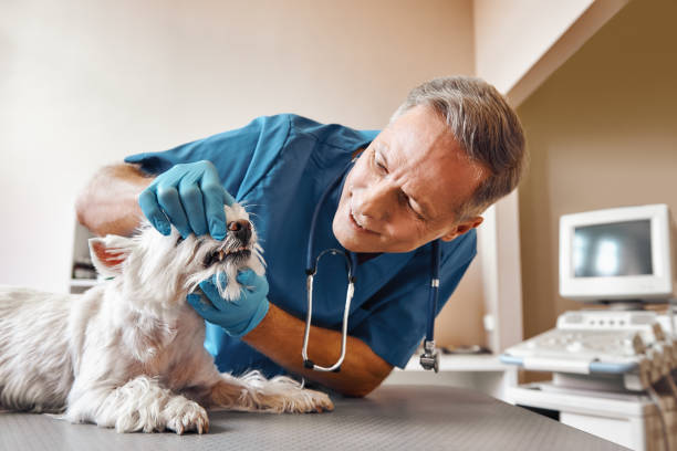 Best Emergency Denture Repair in South Beach, FL